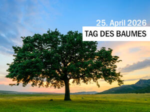Einzelner Baum auf einer Wiese bei Sonnenuntergang, darüber der Schriftzug „2026 – Tag des Baumes“.